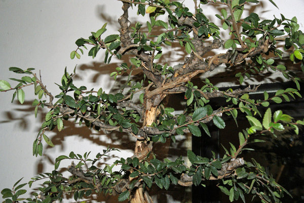 Detail 1