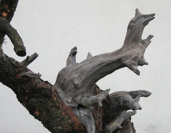 Detail