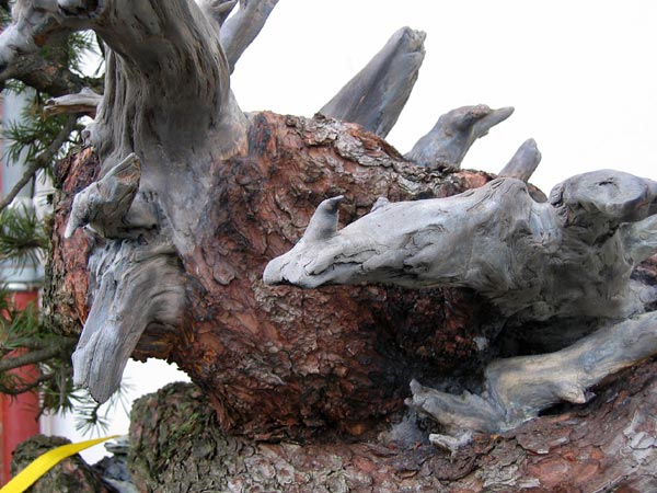 Detail