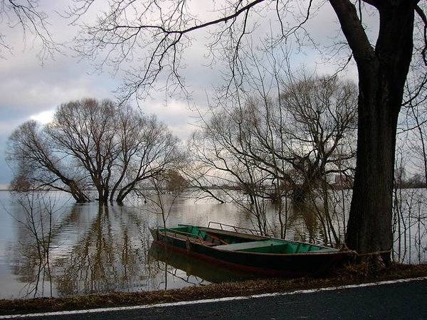7Winterhochwasser 2011.JPG