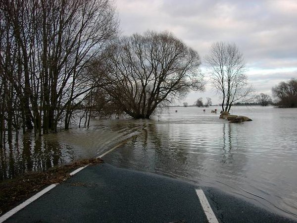 8Winterhochwasser 2011.JPG