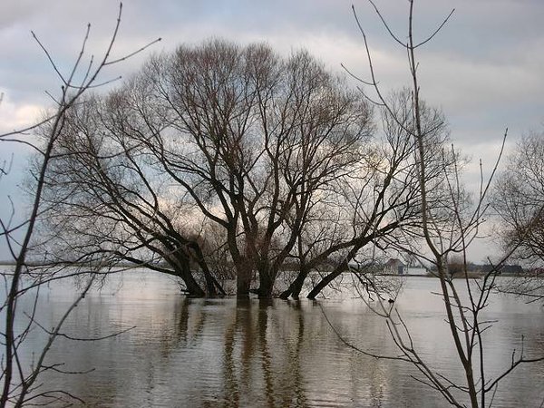 10Winterhochwasser 2011.JPG