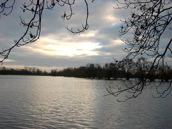14Winterhochwasser 2011.JPG