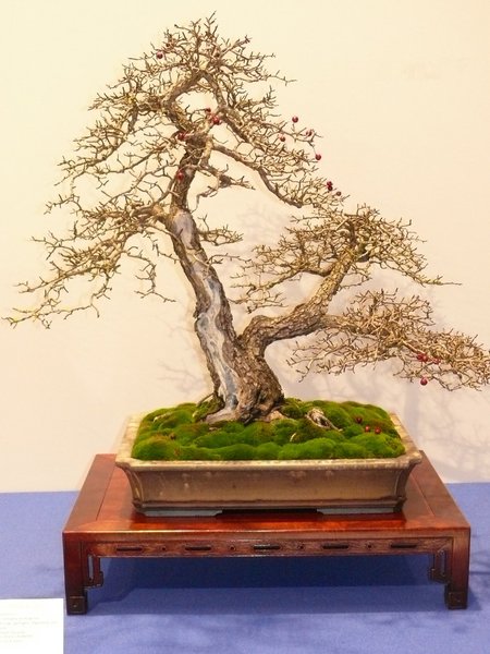 P1020516k.JPG