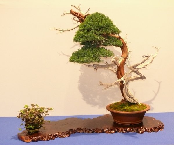 P1020517k.JPG