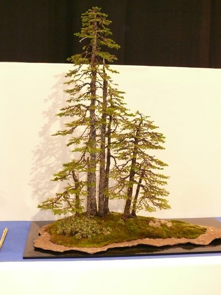 P1020518k.JPG