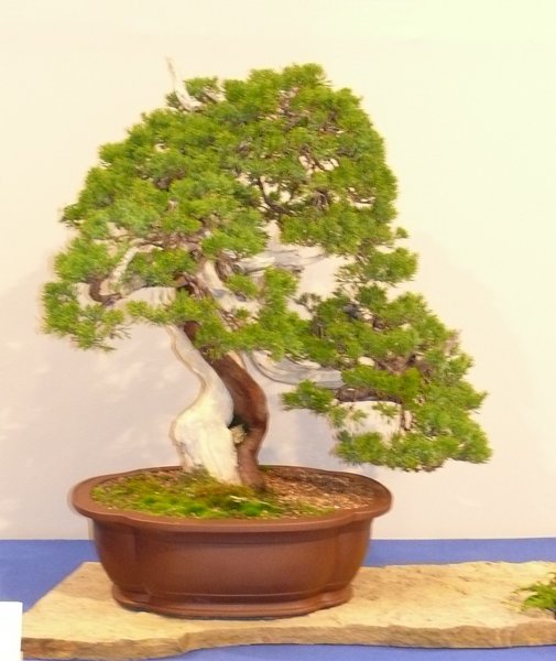 P1020526k.JPG