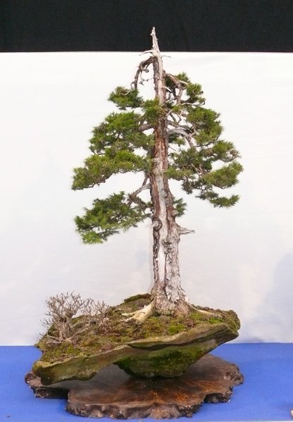 P1020536k.JPG