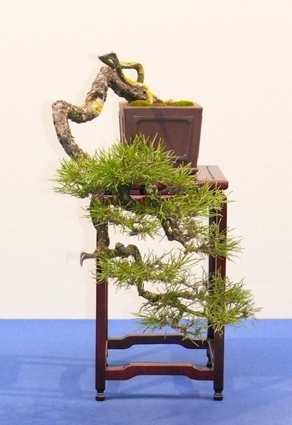P1020550k.JPG