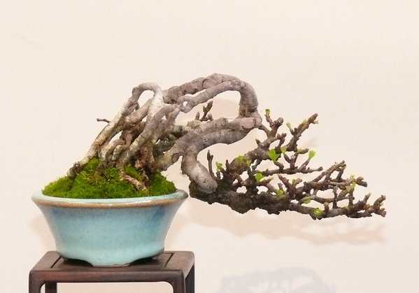 P1020557k.JPG