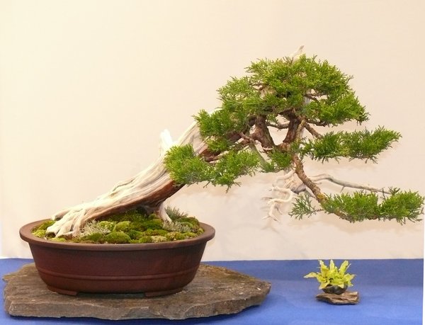 P1020560k.JPG