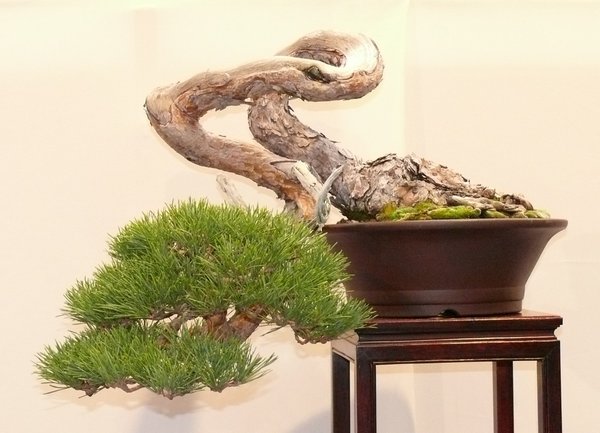 P1020562k.JPG