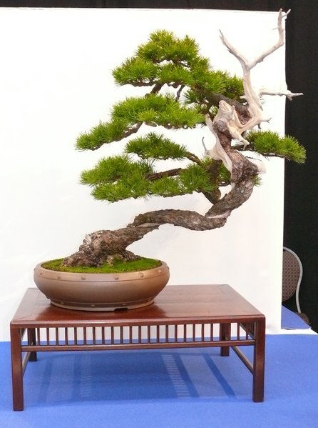 P1020589k.JPG