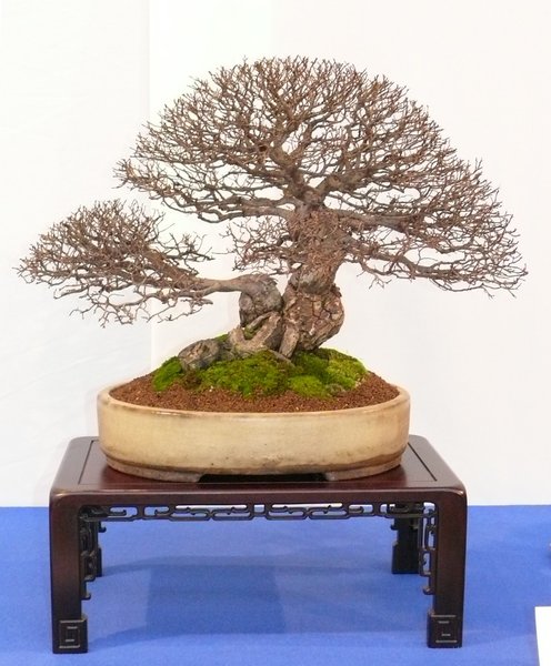 P1020590k.JPG
