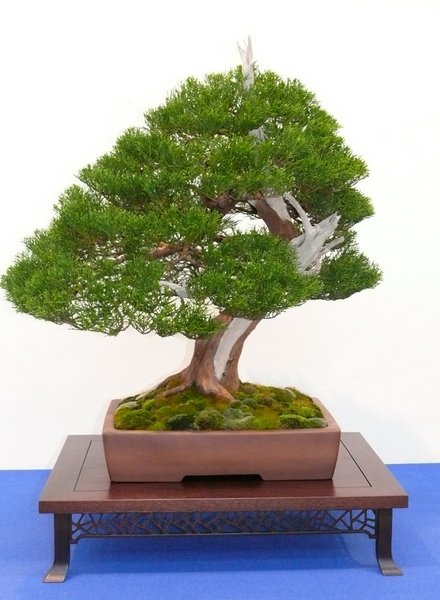 P1020595k.JPG
