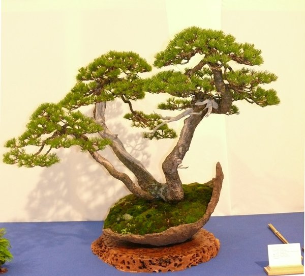 P1020602k.JPG