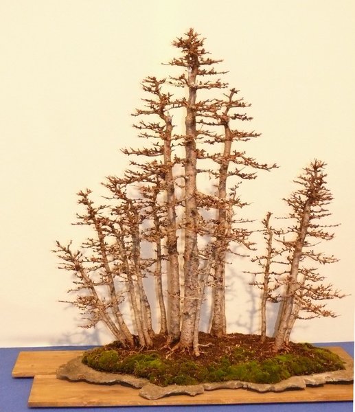 P1020610k.JPG