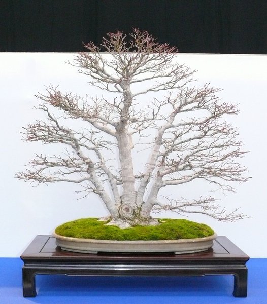 P1020624k.JPG