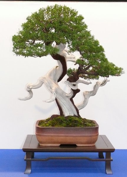 P1020625k.JPG