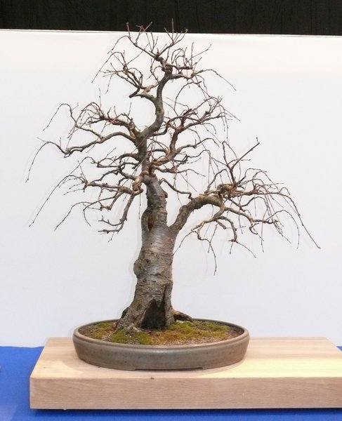 P1020627k.JPG