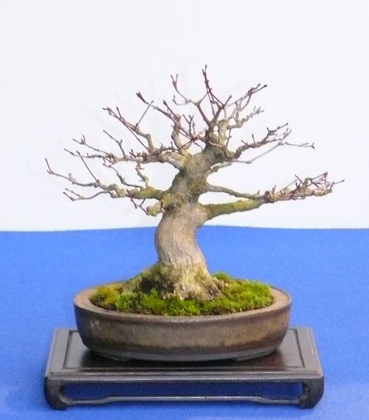P1020628k.JPG