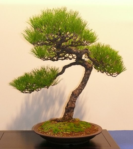 P1020640k.JPG