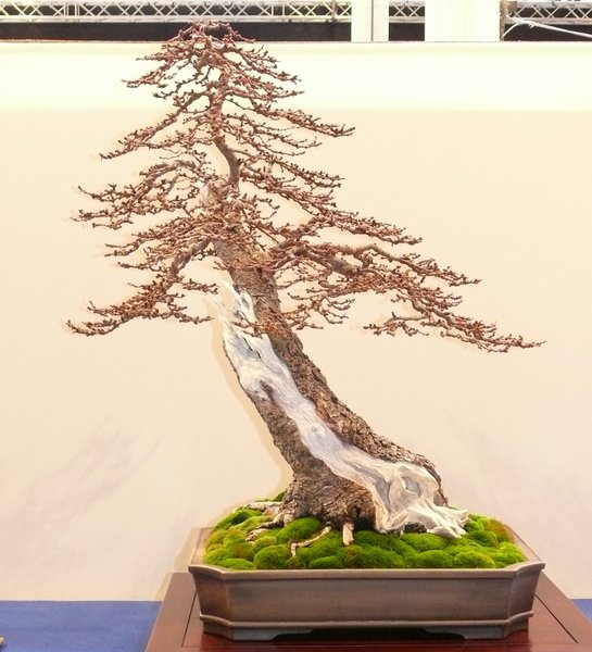 P1020649k.JPG