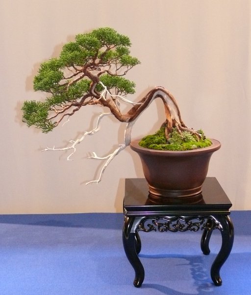 P1020665k.JPG