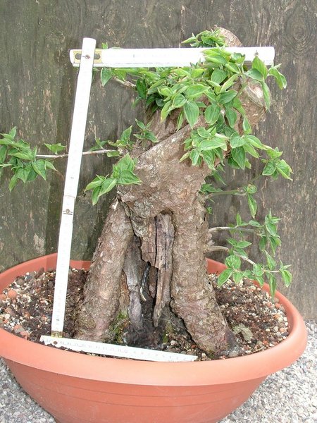 comp_2010_0716Bild0011.jpg