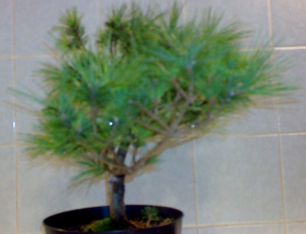 DSC00065.jpg