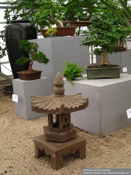 IMG_1826_klein.jpg