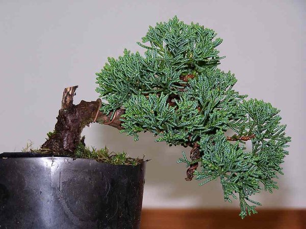 100_4609.jpg