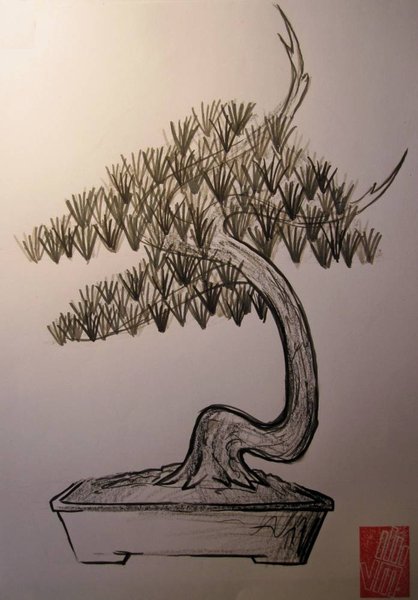 variante 2
