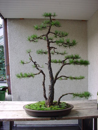 P.S.1.jpg