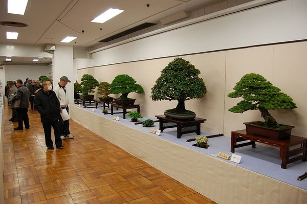KokufuTen_2011_1.jpg