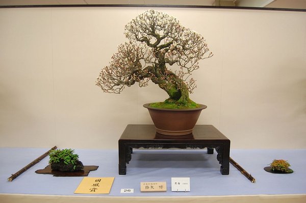 KokufuTen_2011_2.jpg