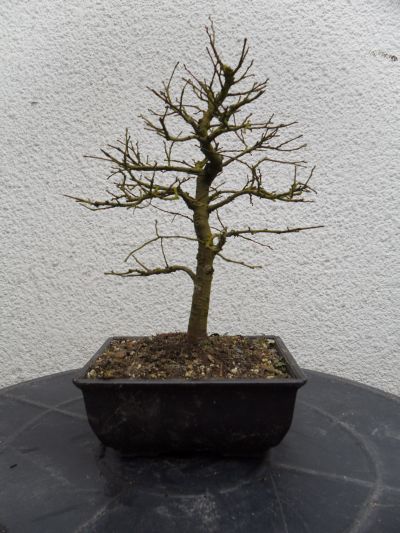 vorher