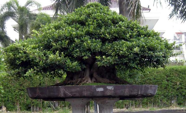 Indonesien-2.jpg