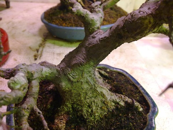 160220111299.jpg