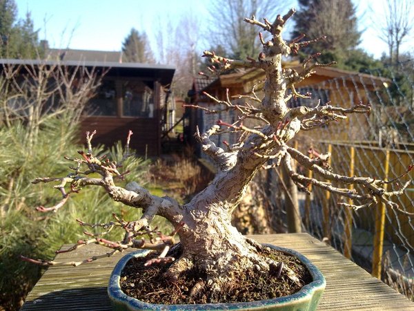 230220111337.jpg