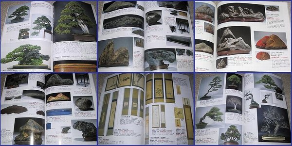 WABI_collage.jpg