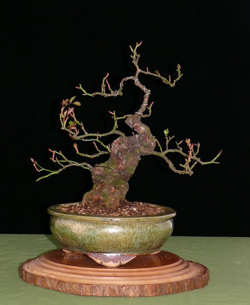 P1020839k.JPG