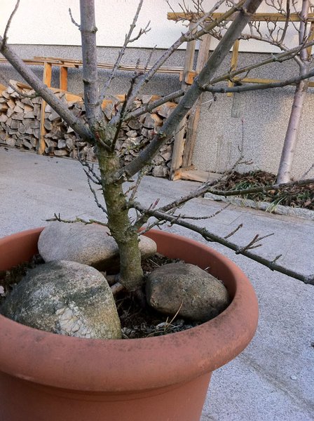 Foto2.JPG
