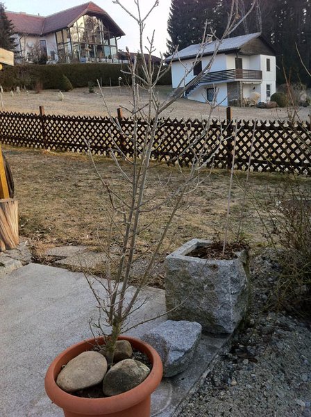 Foto3.JPG