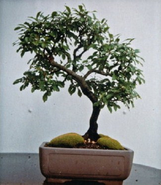 1990