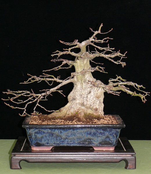 P1020889k.JPG