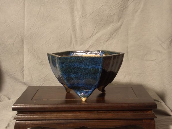 18x11,5cm für einen Goldregen