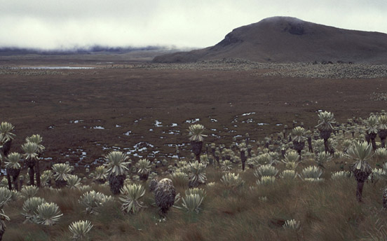 SL 2067.jpg
