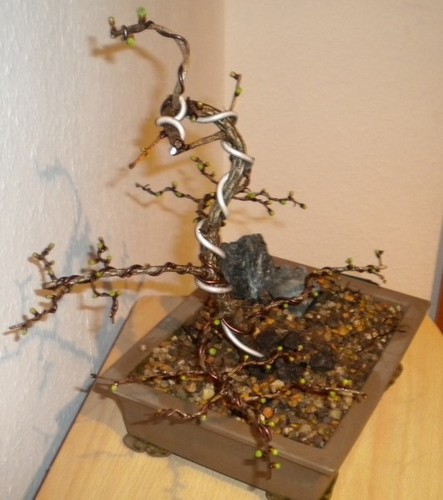 DSCN0549.JPG