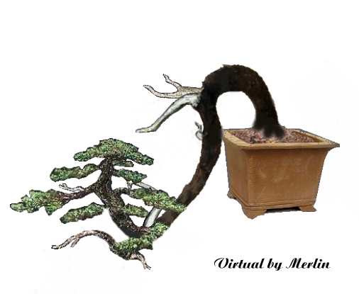 Reinelt_Kiefer_Merlin_virtual1.jpg
